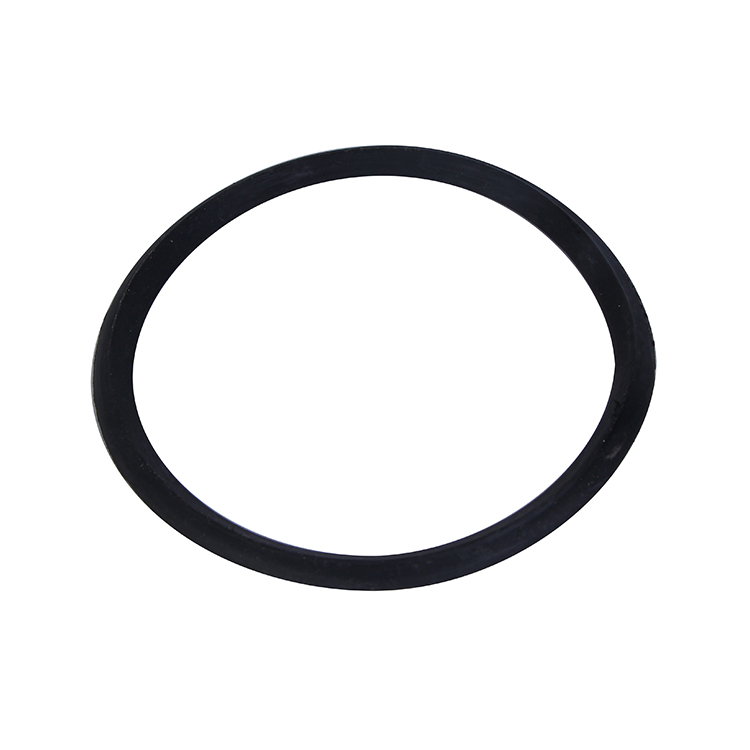 Sealing Ring.JPG